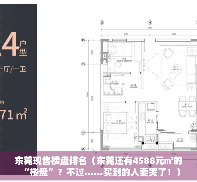 东莞现售楼盘排名（东莞还有4588元㎡的“楼盘”？不过……买到的人要哭了！）