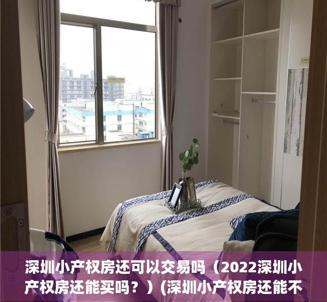 深圳小产权房还可以交易吗（2022深圳小产权房还能买吗？）(深圳小产权房还能不能买)