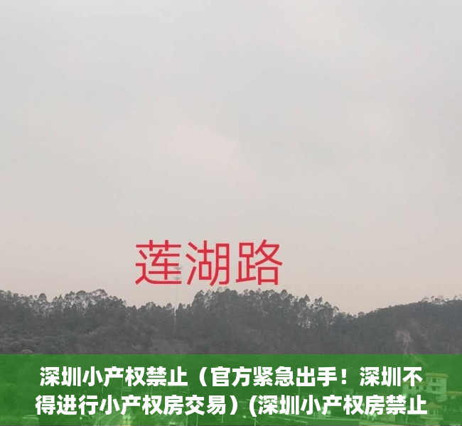 深圳小产权禁止（官方紧急出手！深圳不得进行小产权房交易）(深圳小产权房禁止交易哪里出台的)