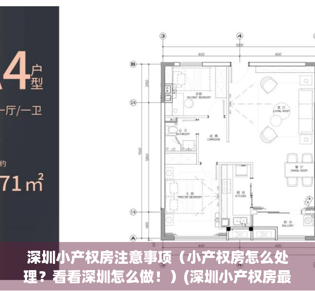 深圳小产权房注意事项（小产权房怎么处理？看看深圳怎么做！）(深圳小产权房最终怎么处理)