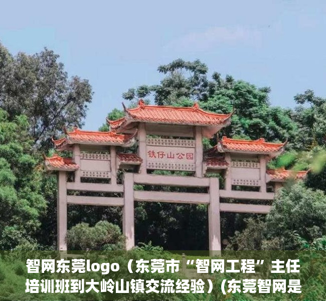 智网东莞logo（东莞市“智网工程”主任培训班到大岭山镇交流经验）(东莞智网是查什么样的)