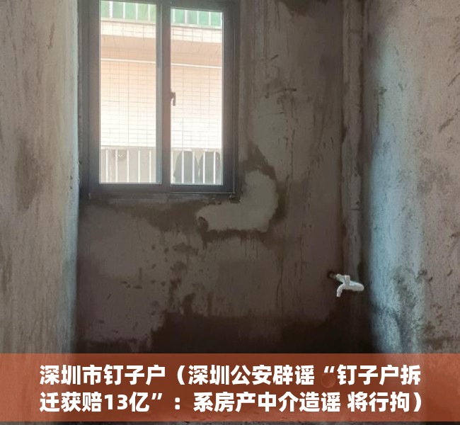 深圳市钉子户（深圳公安辟谣“钉子户拆迁获赔13亿”：系房产中介造谣 将行拘）