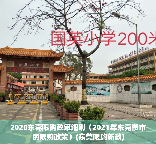 2020东莞限购政策细则（2021年东莞楼市的限购政策）(东莞限购新政)