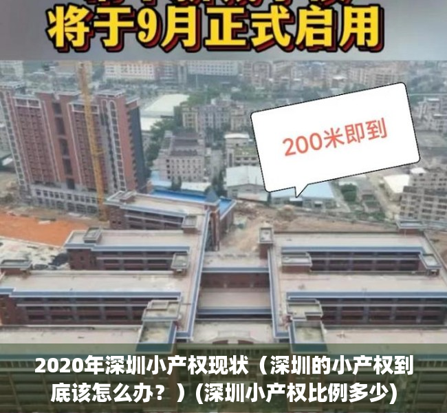 2020年深圳小产权现状（深圳的小产权到底该怎么办？）(深圳小产权比例多少)