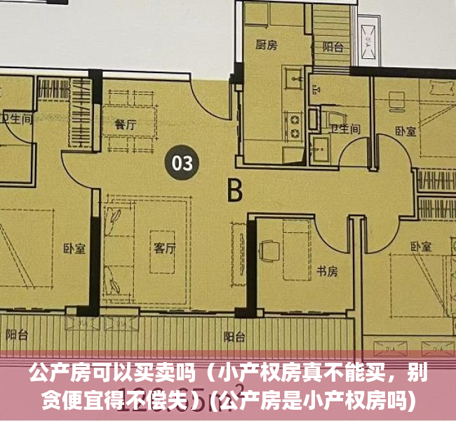 公产房可以买卖吗（小产权房真不能买，别贪便宜得不偿失）(公产房是小产权房吗)