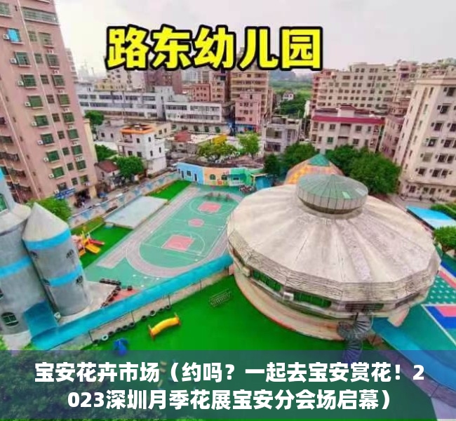 宝安花卉市场（约吗？一起去宝安赏花！2023深圳月季花展宝安分会场启幕）