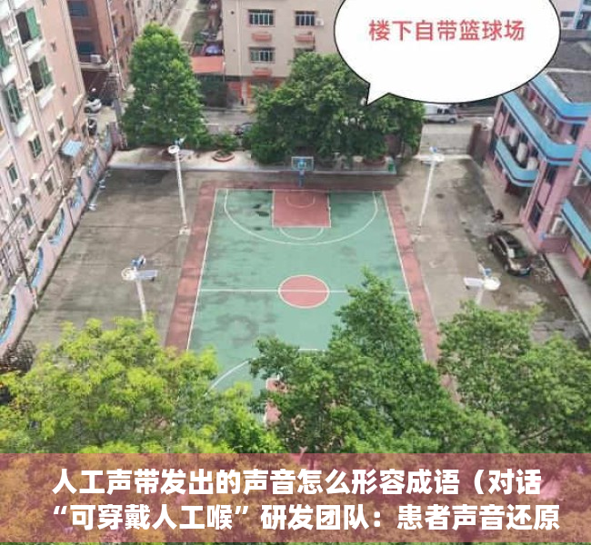 人工声带发出的声音怎么形容成语（对话“可穿戴人工喉”研发团队：患者声音还原准确率超90%）