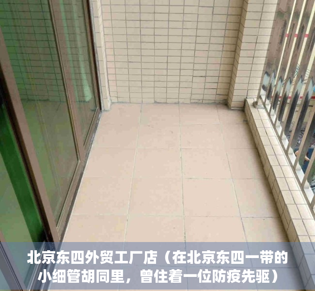 北京东四外贸工厂店（在北京东四一带的小细管胡同里，曾住着一位防疫先驱）