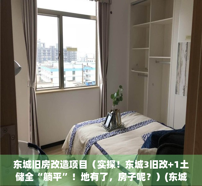 东城旧房改造项目（实探！东城3旧改+1土储全“躺平”！地有了，房子呢？）(东城改造20个老旧小区)