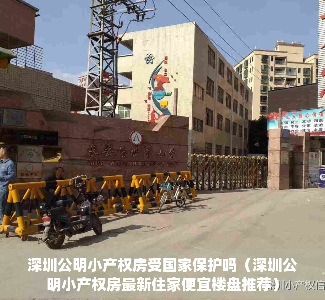 深圳公明小产权房受国家保护吗（深圳公明小产权房最新住家便宜楼盘推荐）