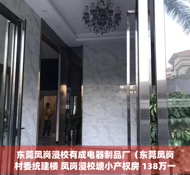 东莞凤岗浸校有成电器制品厂（东莞凤岗村委统建楼 凤岗浸校塘小产权房 138万一套 精装修 即买即住 投资居住适宜）