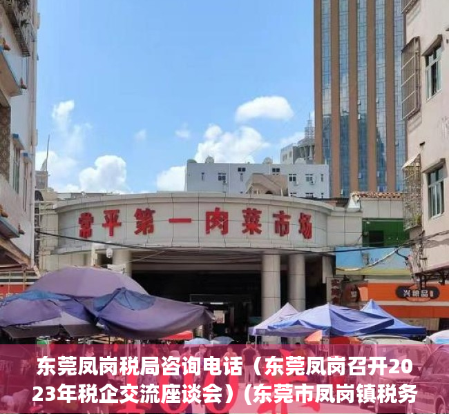 东莞凤岗税局咨询电话（东莞凤岗召开2023年税企交流座谈会）(东莞市凤岗镇税务局)