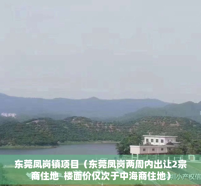 东莞凤岗镇项目（东莞凤岗两周内出让2宗商住地  楼面价仅次于中海商住地）