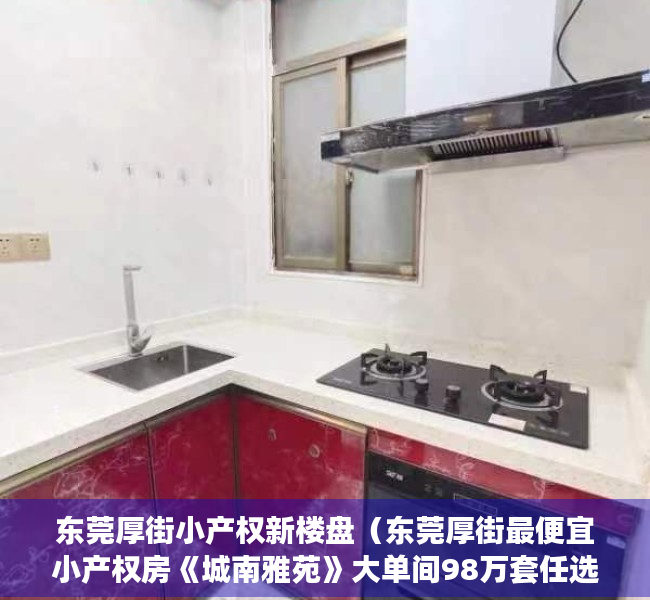 东莞厚街小产权新楼盘（东莞厚街最便宜小产权房《城南雅苑》大单间98万套任选，一房一厅138万，任选，大三房248万，楼层任选，无条件分期5年）