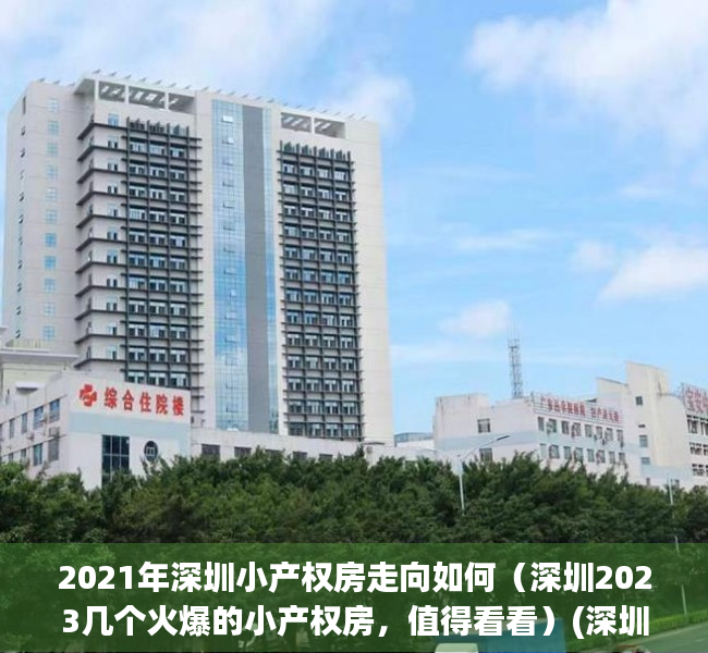 2021年深圳小产权房走向如何（深圳2023几个火爆的小产权房，值得看看）(深圳小产权房资讯)