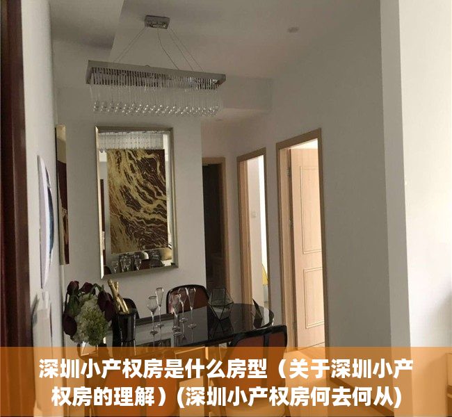 深圳小产权房是什么房型（关于深圳小产权房的理解）(深圳小产权房何去何从)