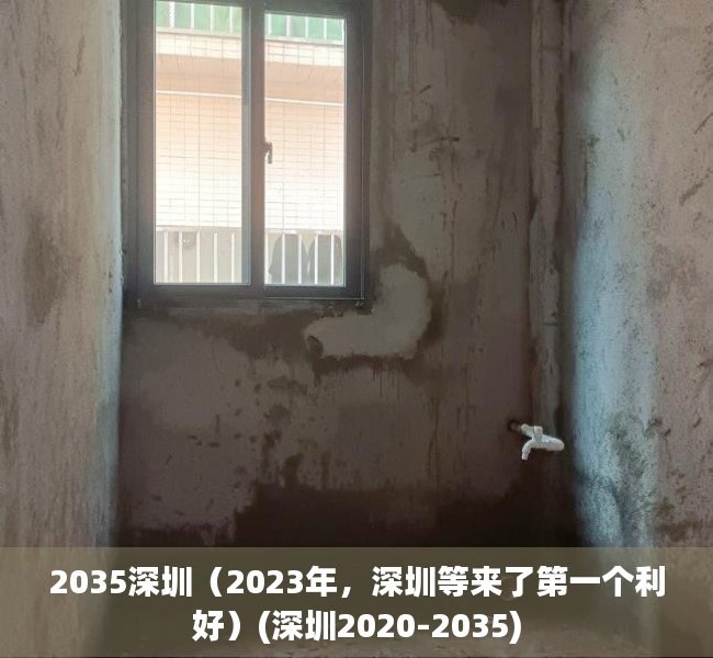 2035深圳（2023年，深圳等来了第一个利好）(深圳2020-2035)