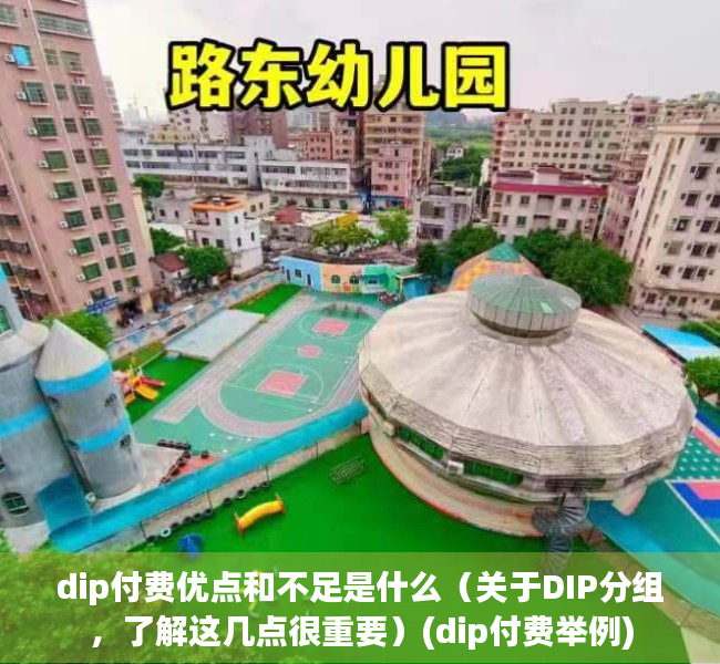 dip付费优点和不足是什么（关于DIP分组，了解这几点很重要）(dip付费举例)