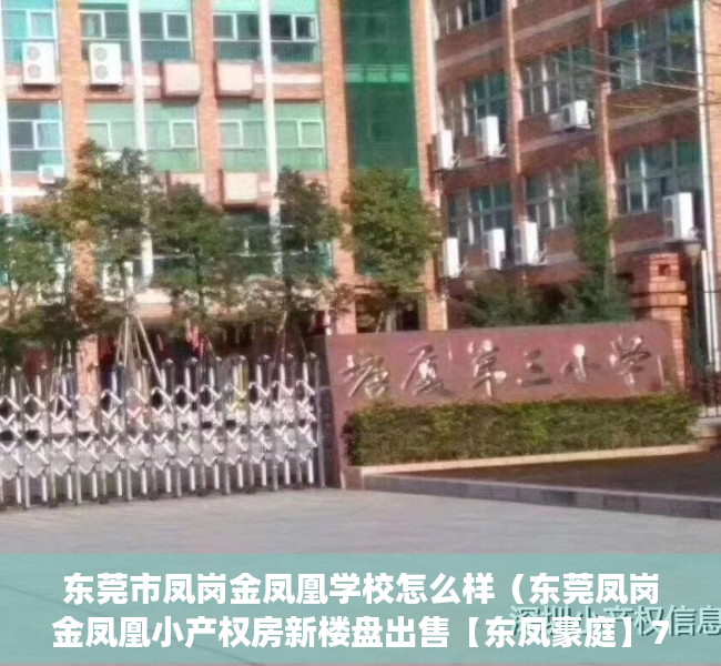 东莞市凤岗金凤凰学校怎么样（东莞凤岗金凤凰小产权房新楼盘出售【东凤豪庭】70年产权合作建房，证件齐全，律师见证 安全保障 ，十分钟到龙岗 五分钟上高速！）