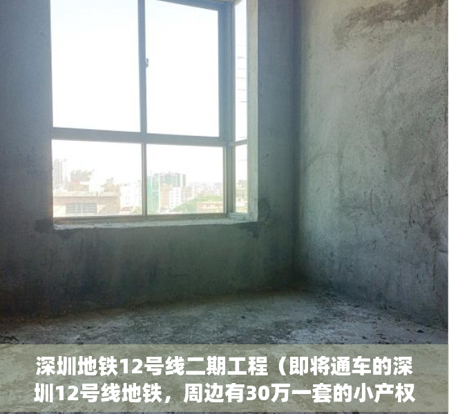 深圳地铁12号线二期工程（即将通车的深圳12号线地铁，周边有30万一套的小产权房吗？）