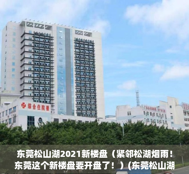 东莞松山湖2021新楼盘（紧邻松湖烟雨！东莞这个新楼盘要开盘了！）(东莞松山湖新楼盘房价)