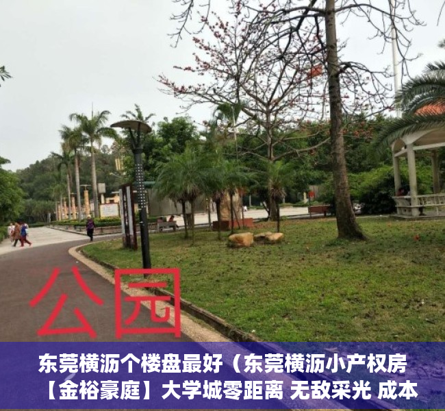 东莞横沥个楼盘最好（东莞横沥小产权房【金裕豪庭】大学城零距离 无敌采光 成本价2600元平）