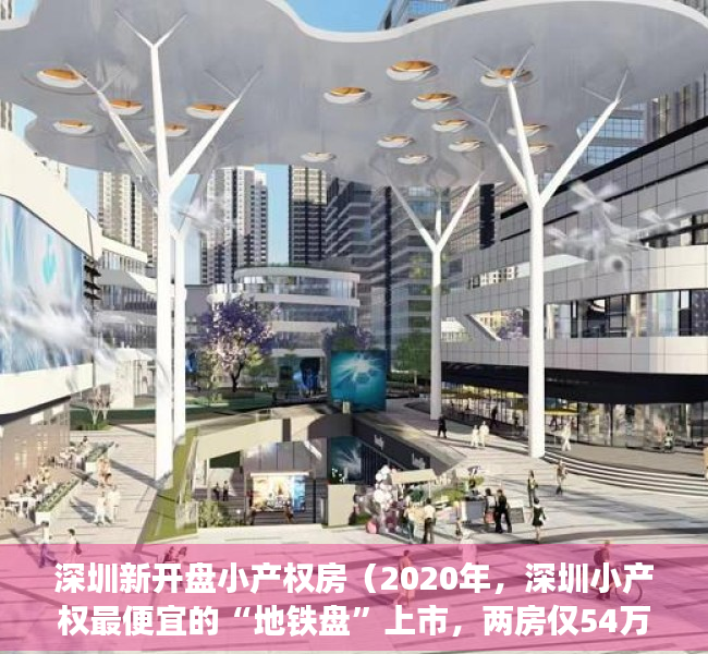 深圳新开盘小产权房（2020年，深圳小产权最便宜的“地铁盘”上市，两房仅54万！）