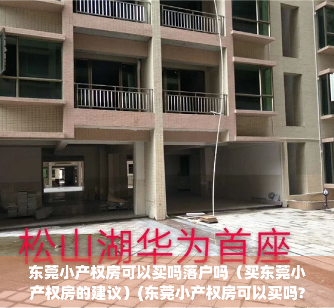 东莞小产权房可以买吗落户吗（买东莞小产权房的建议）(东莞小产权房可以买吗?产权房)