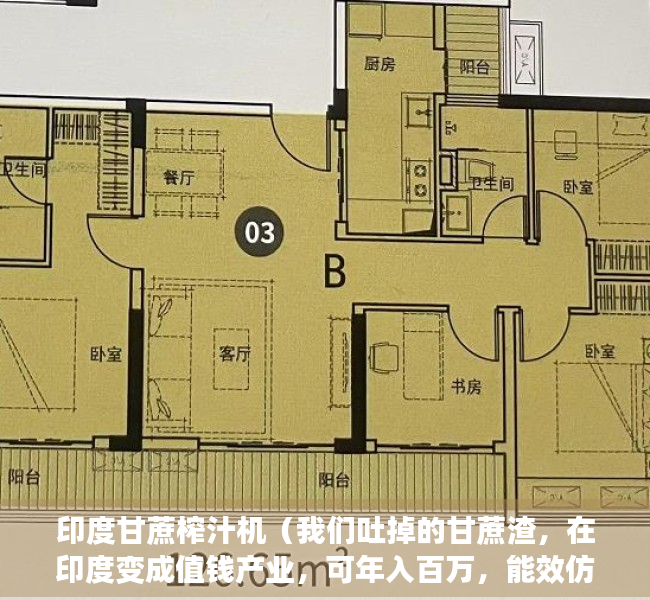 印度甘蔗榨汁机（我们吐掉的甘蔗渣，在印度变成值钱产业，可年入百万，能效仿吗？）