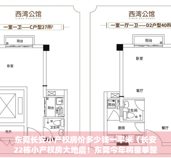 东莞长安小产权房价多少钱一平米（长安22栋小产权房大地震！东莞今年将重拳整治违建1000万平方米！）