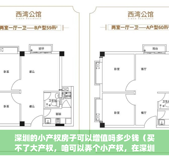 深圳的小产权房子可以增值吗多少钱（买不了大产权，咱可以弄个小产权，在深圳妥妥的。）