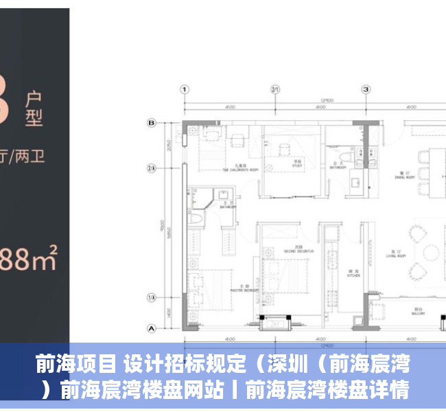 前海项目 设计招标规定（深圳（前海宸湾）前海宸湾楼盘网站丨前海宸湾楼盘详情最新房价！）