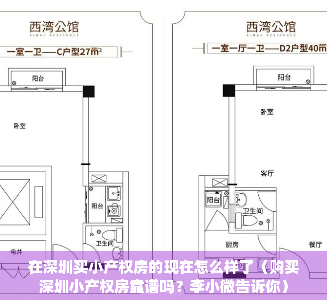 在深圳买小产权房的现在怎么样了（购买深圳小产权房靠谱吗？李小微告诉你）