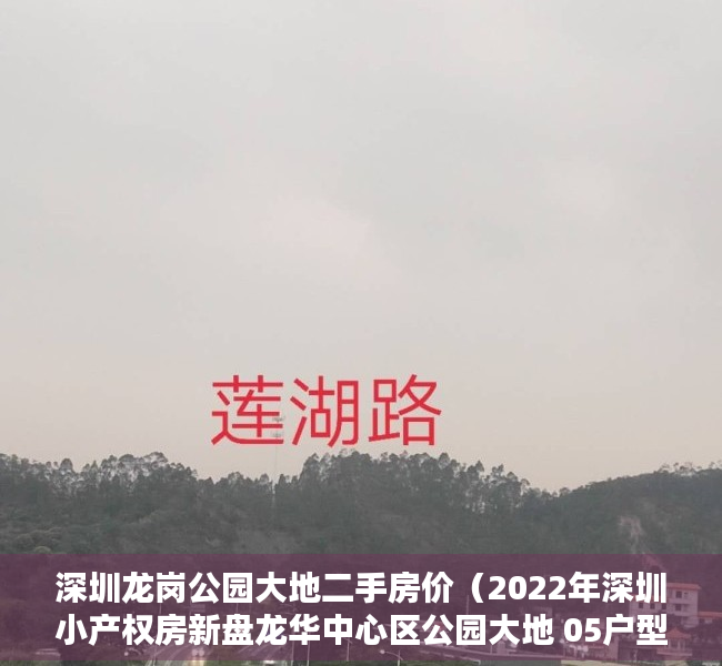 深圳龙岗公园大地二手房价（2022年深圳小产权房新盘龙华中心区公园大地 05户型）