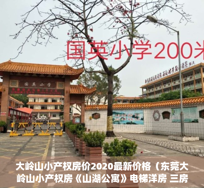 大岭山小产权房价2020最新价格（东莞大岭山小产权房《山湖公寓》电梯洋房 三房29万每套起）