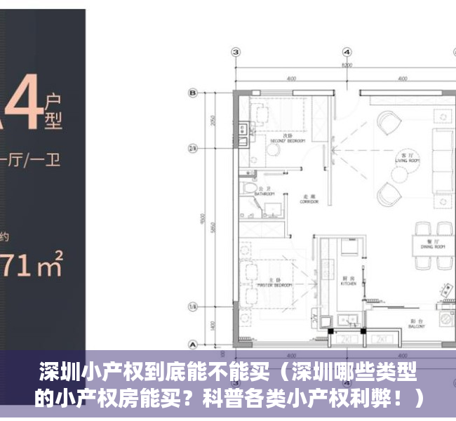 深圳小产权到底能不能买（深圳哪些类型的小产权房能买？科普各类小产权利弊！）