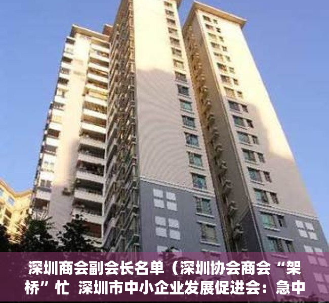 深圳商会副会长名单（深圳协会商会“架桥”忙  深圳市中小企业发展促进会：急中小微企业之所急）