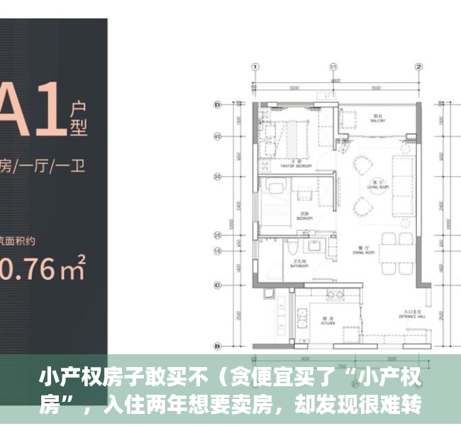 小产权房子敢买不（贪便宜买了“小产权房”，入住两年想要卖房，却发现很难转手）