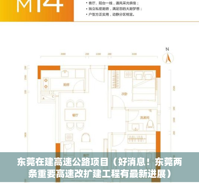 东莞在建高速公路项目（好消息！东莞两条重要高速改扩建工程有最新进展）