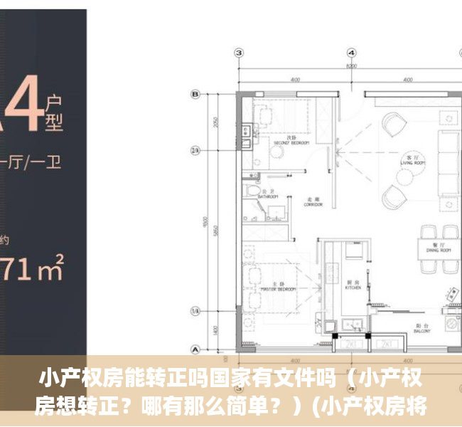 小产权房能转正吗国家有文件吗（小产权房想转正？哪有那么简单？）(小产权房将无条件、全部转正!)