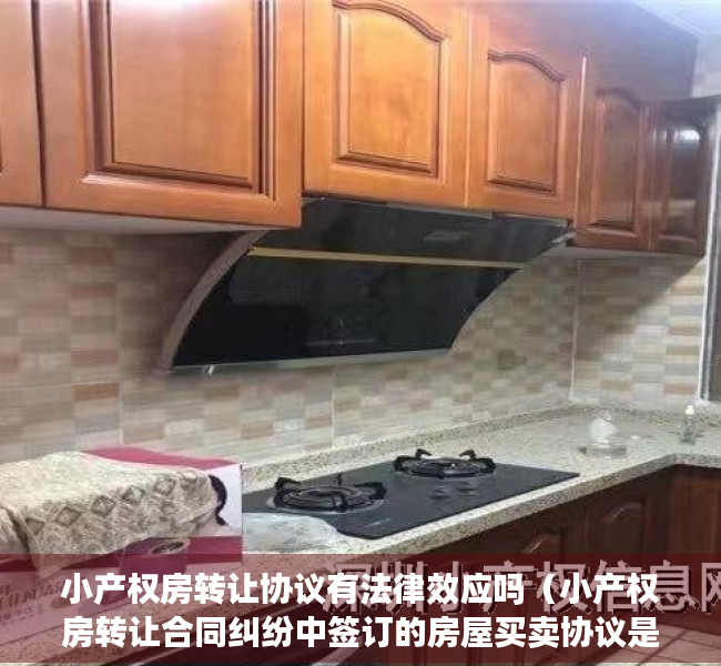 小产权房转让协议有法律效应吗（小产权房转让合同纠纷中签订的房屋买卖协议是否有效）