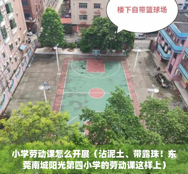 小学劳动课怎么开展（沾泥土、带露珠！东莞南城阳光第四小学的劳动课这样上）