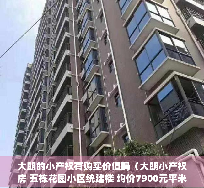 大朗的小产权有购买价值吗（大朗小产权房 五栋花园小区统建楼 均价7900元平米送装修 现房拎包即入住）