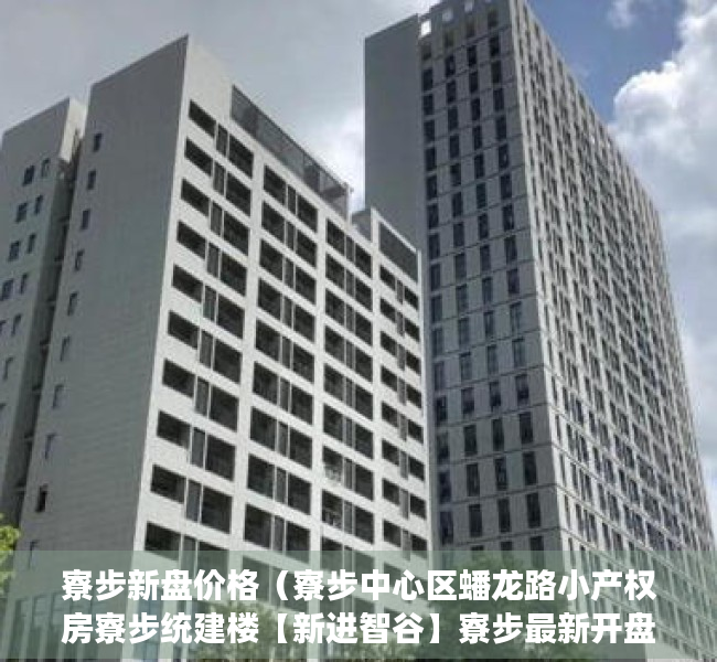 寮步新盘价格（寮步中心区蟠龙路小产权房寮步统建楼【新进智谷】寮步最新开盘小产权房【新进智谷】6栋大规模小区花园房 环境优美 带停车场 户型方正）