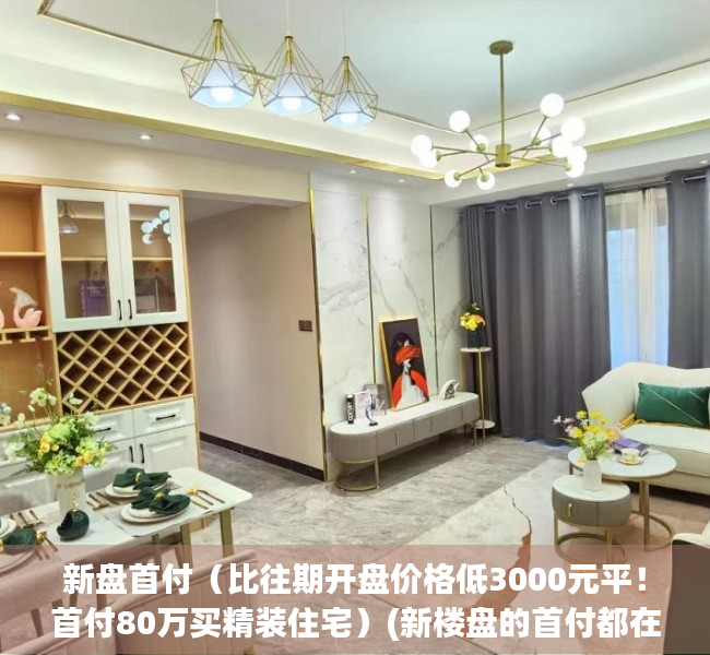 新盘首付（比往期开盘价格低3000元平！首付80万买精装住宅）(新楼盘的首付都在多少)