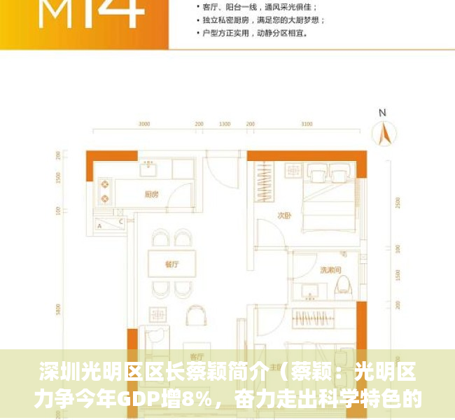 深圳光明区区长蔡颖简介（蔡颖：光明区力争今年GDP增8%，奋力走出科学特色的高质量发展之路｜深圳高质量发展大会）