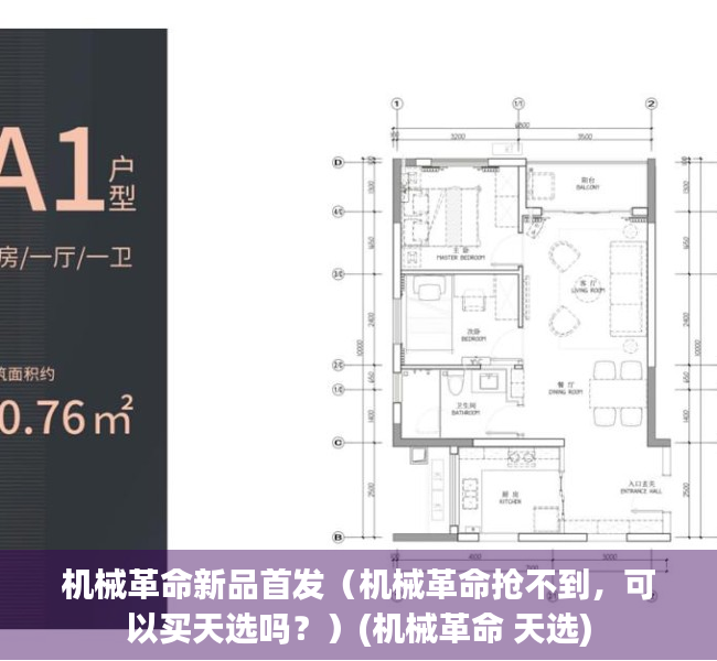 机械革命新品首发（机械革命抢不到，可以买天选吗？）(机械革命 天选)