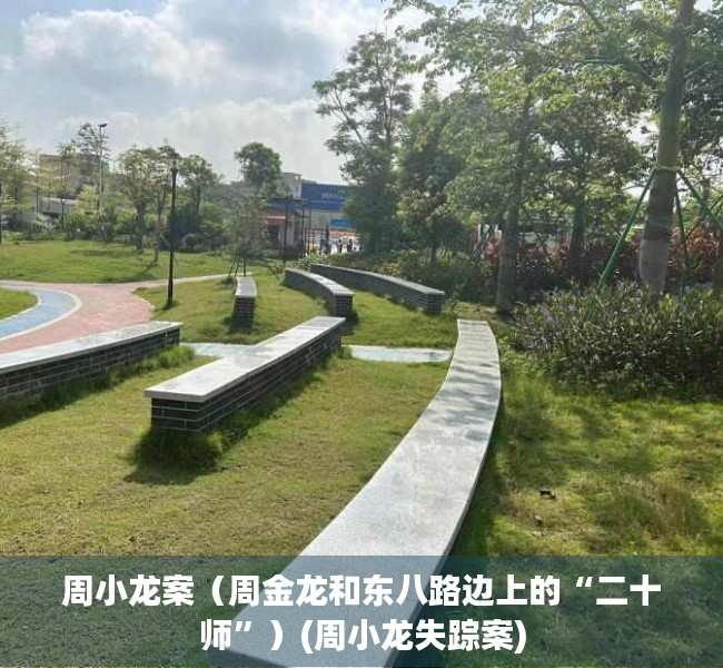 周小龙案（周金龙和东八路边上的“二十师”）(周小龙失踪案)