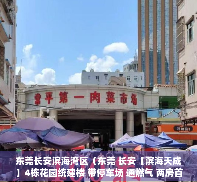 东莞长安滨海湾区（东莞 长安【滨海天成】4栋花园统建楼 带停车场 通燃气 两房首付15万 三房首付25万 分期八年）