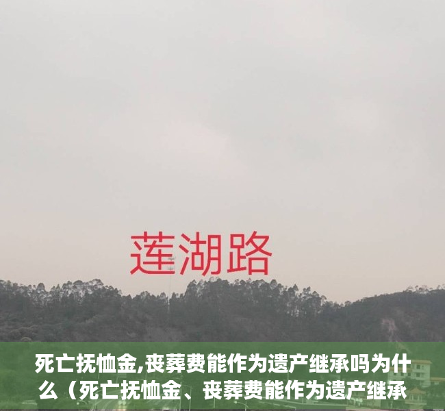 死亡抚恤金,丧葬费能作为遗产继承吗为什么（死亡抚恤金、丧葬费能作为遗产继承吗？）